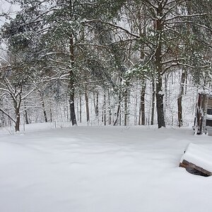 Result of Winterstorm Quinn