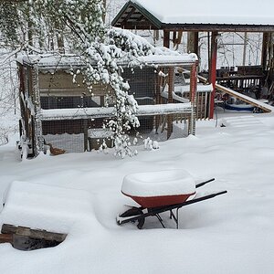 Result of Winterstorm Quinn