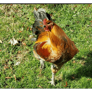 20221129_080810.gif