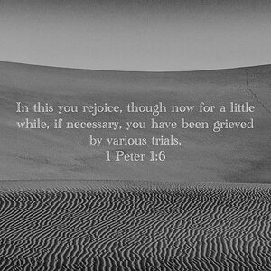 BE65C399-E0C6-454F-A220-9321153B4760.jpeg