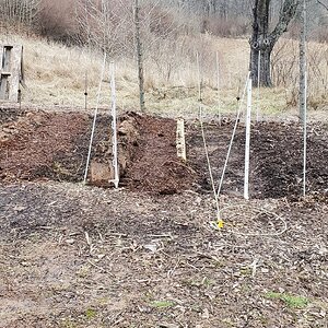 Two rows completed in the Tomato-Garden