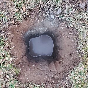Planthole for the Jostaberry, still filling up with water