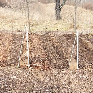 Making progress with the tomato beds, 4 out of 6 are ready.