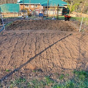 Potato patch