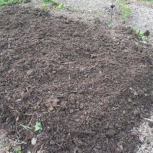 Mont noir is flattened and ready for planting squash and cantaloupe