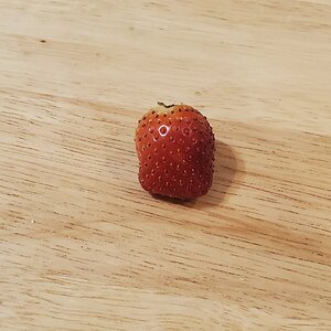 First Strawberry