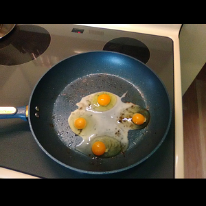 Egg Dish 16.png