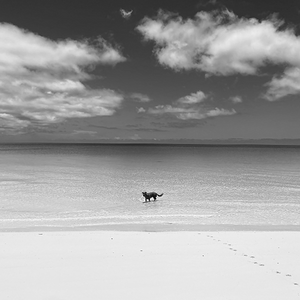 Artistic Black and White Challenge94.png