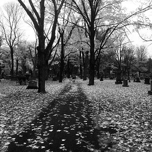 Artistic Black and White Challenge97.jpg