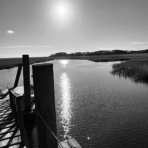 Artistic Black and White Challenge100.jpg