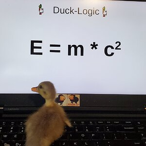 Look at this Genius!