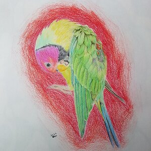 Artwork Contest 1.jpg