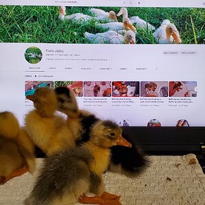 It is getting full on the laptop!