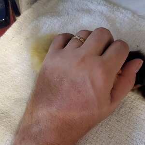 I need a larger hand!