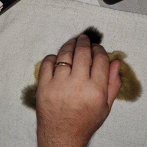 I need a larger hand!