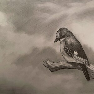 Artwork Contest 7.jpg