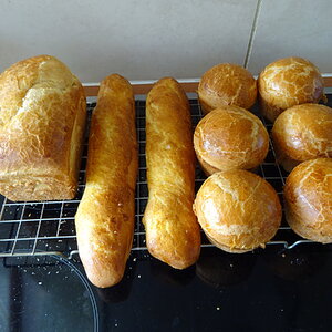 Baked Goods Contest 6a.jpg