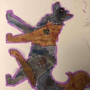 Artwork Contest 26.jpg