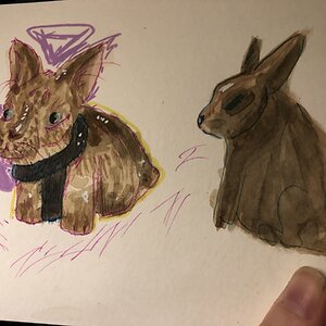 Artwork Contest 27.jpg