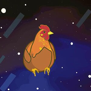 A chicken in space