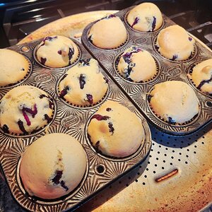 Baked Goods Contest 9a.jpg