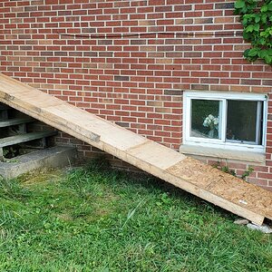 Finished Duckling Ramp