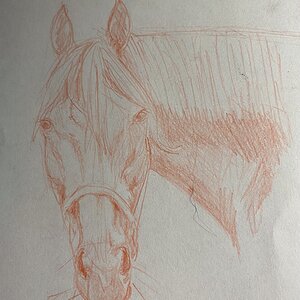 Artwork Contest 52.jpg