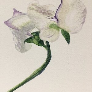 Artwork Contest 57.jpg