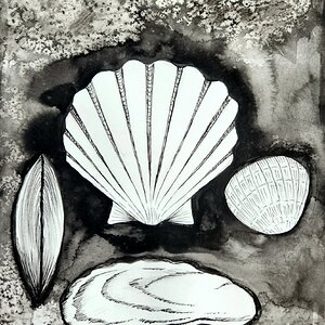 Artwork Contest 59.jpg