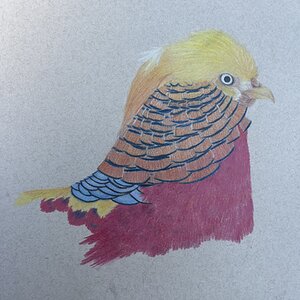 Artwork Contest 62.jpg