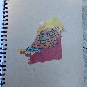 Artwork Contest 63.jpg