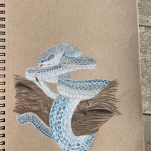 Artwork Contest 65.jpg