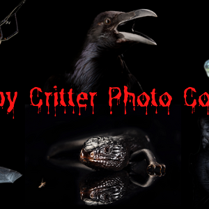creepy-critter-photo-contest-png.png