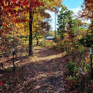 Fall Fun Photo Contest 1.jpg