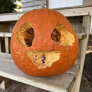 Pumpkin Carving Contest 3.jpg
