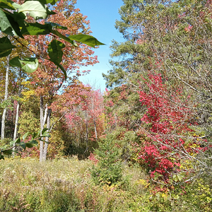 Fall Fun Photo Contest 4.png