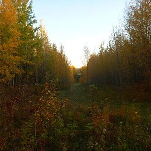 Fall Fun Photo Contest 7.jpg