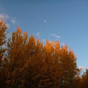 Fall Fun Photo Contest 8.jpg
