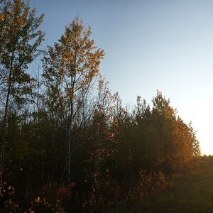 Fall Fun Photo Contest 10.jpg
