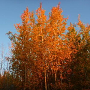 Fall Fun Photo Contest 11.jpg