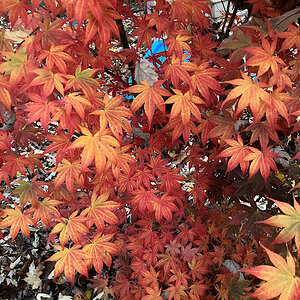 Fall Fun Photo Contest 13.jpg