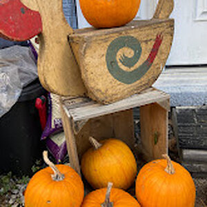 Fall Fun Photo Contest 14.jpg