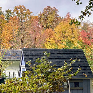 Fall Fun Photo Contest 15.jpg