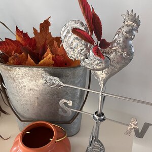 Fall Fun Photo Contest 17.jpg