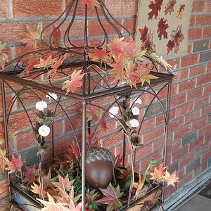 Fall Fun Photo Contest 18.jpg