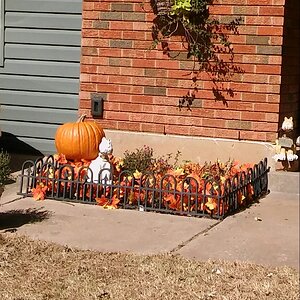 Fall Fun Photo Contest 19.jpg