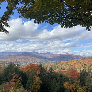Fall Fun Photo Contest 20.jpg