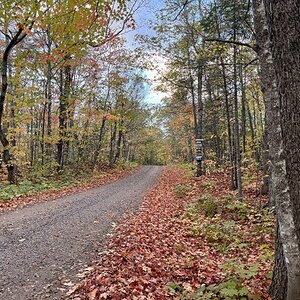 Fall Fun Photo Contest 23.jpg