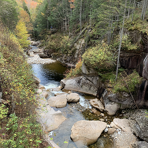 Fall Fun Photo Contest 25.png