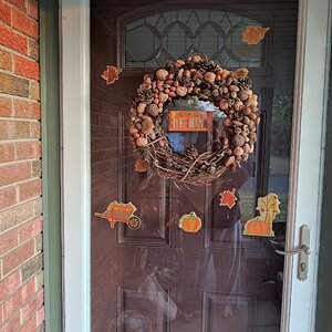 Fall Fun Photo Contest 26.jpg